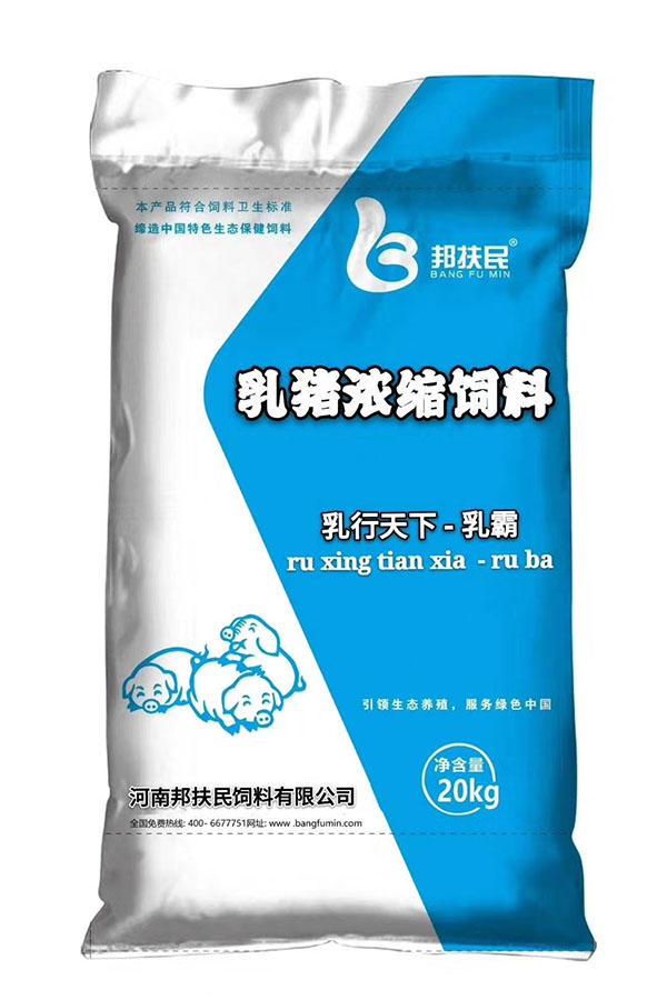 乳猪午夜无遮羞禁视频APP免费